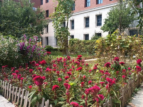 温泉康养养老院一览表｜北京市顺义区新安居美和养老照料中心 活力老人娱乐康养 2026最新(图23)